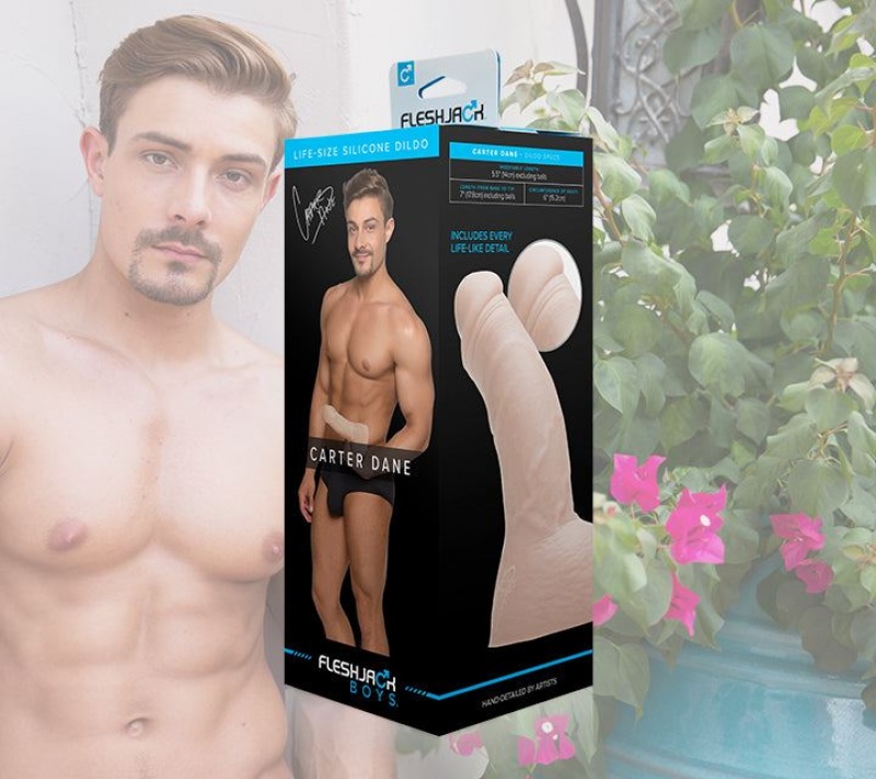 Fleshlight Carter Dane Male Pornstar Replicas | BKSTRW802